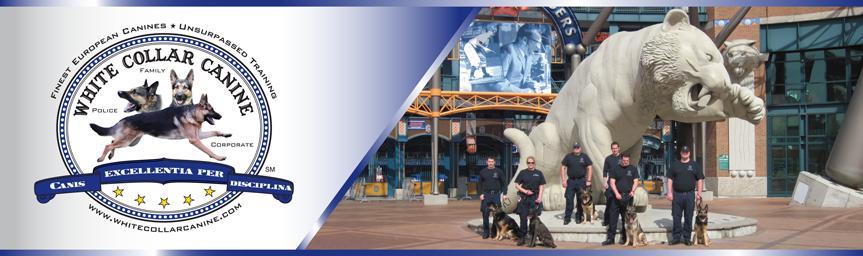 Surpassing all of your K-9 needs.